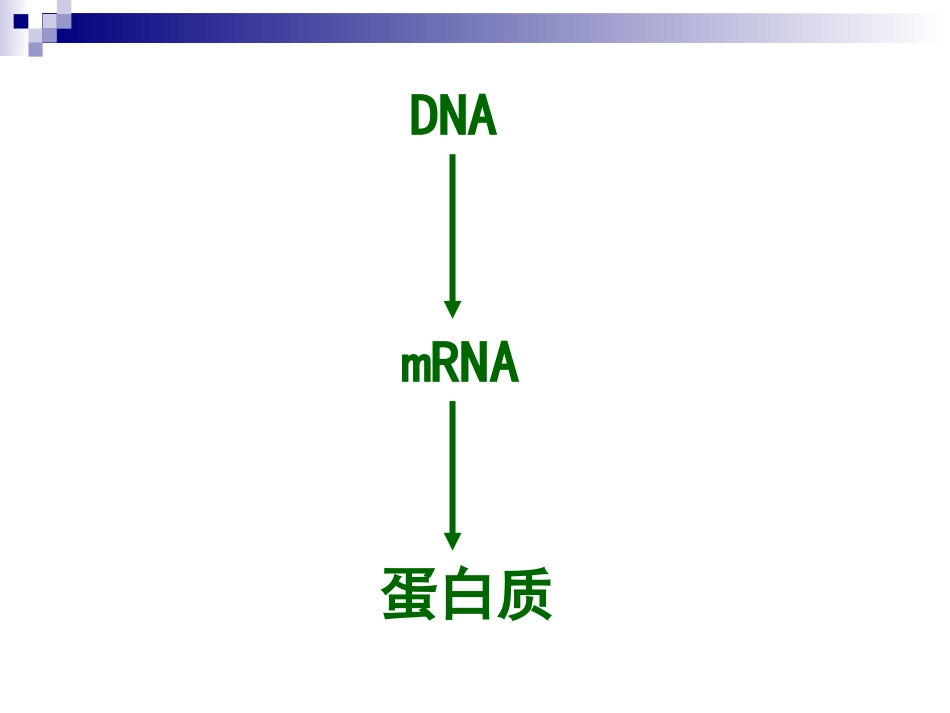 遗传密码的破译_第2页