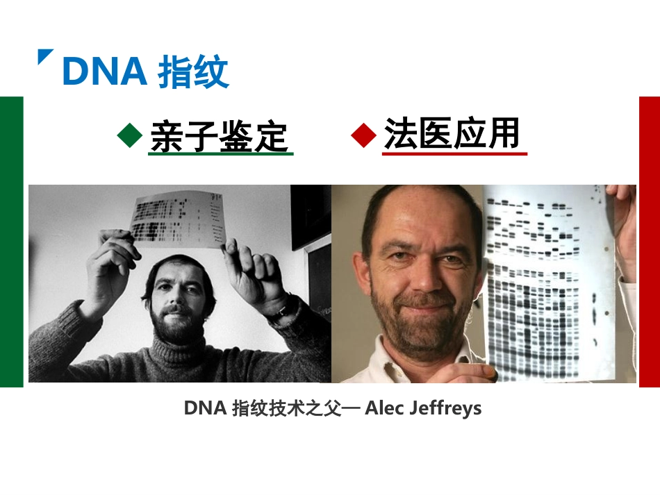 遗传信息的携带者--核酸_第2页