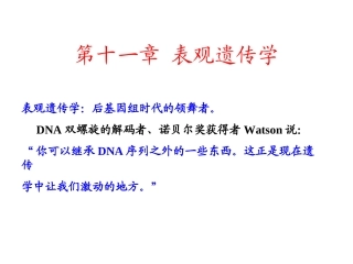 遗传学第十一章表观遗传