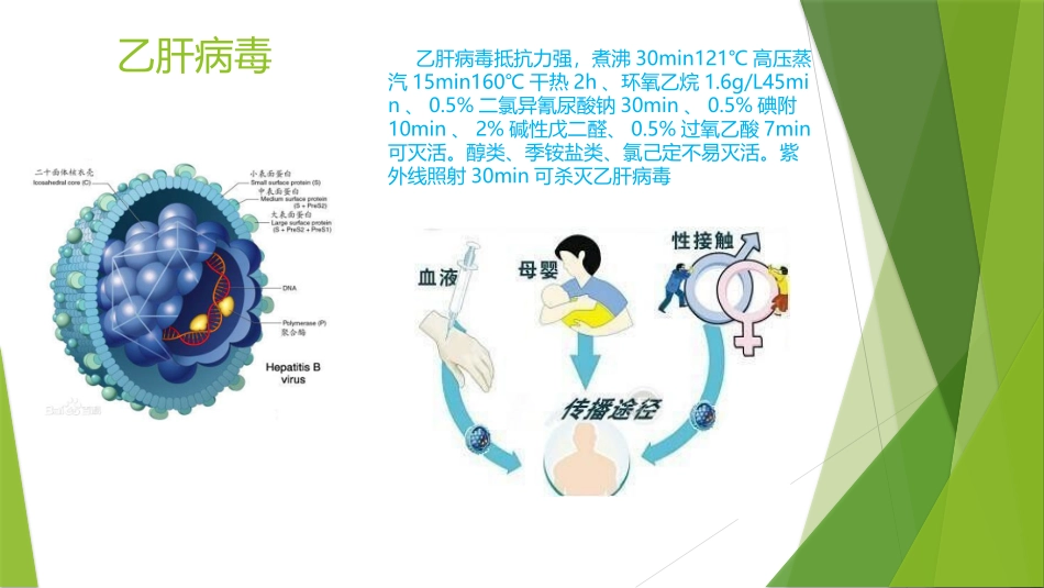 乙肝乙肝疫苗_第3页