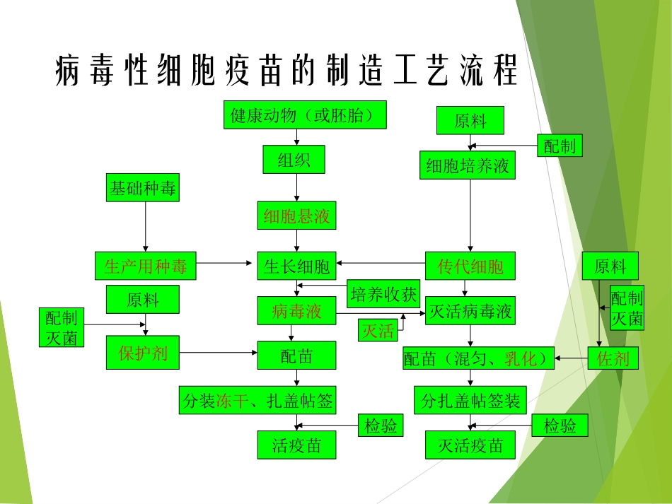 疫苗的制造流程和管理_第2页
