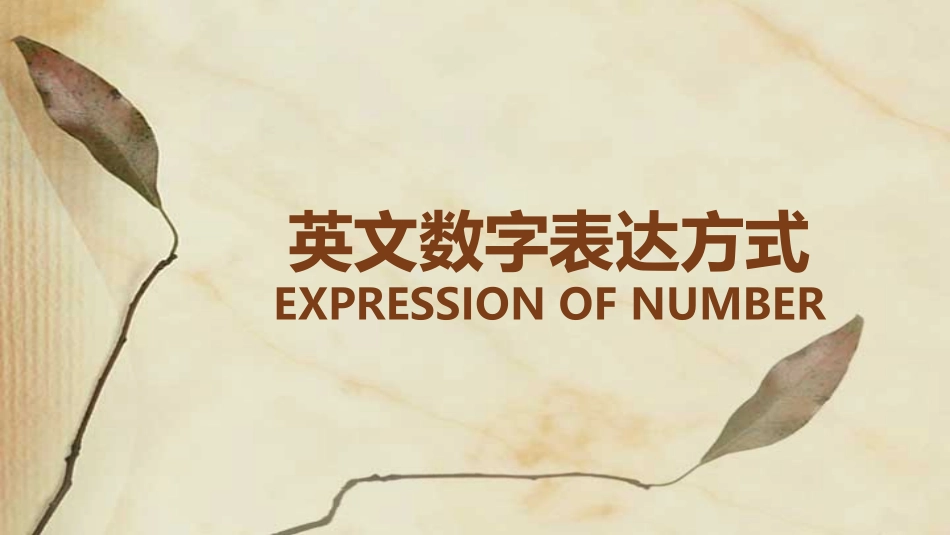 英文数字表达方式_第1页