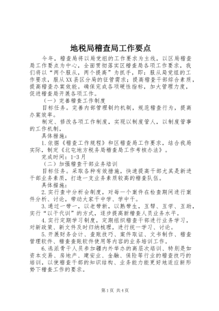 地税局稽查局工作要点