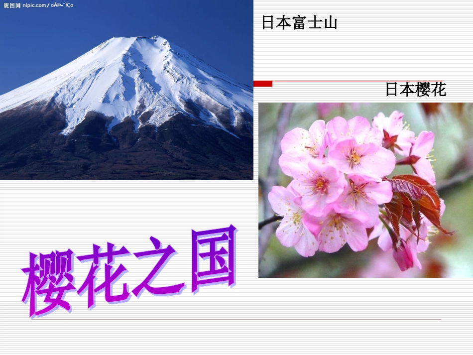 樱花之国课件日本课件_第2页