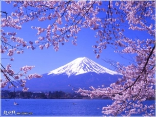 樱花之国课件日本课件