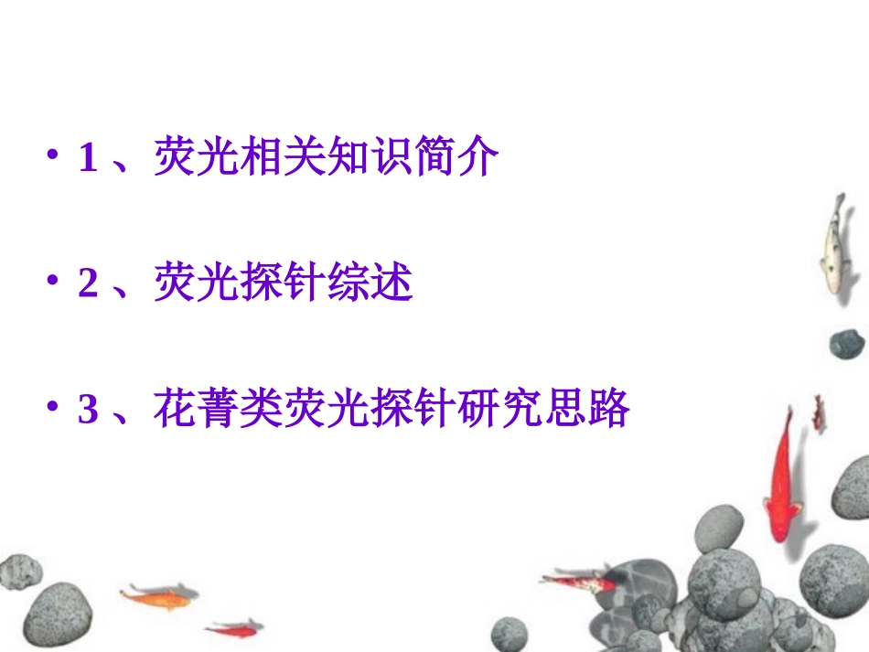 荧光探针综述_第2页