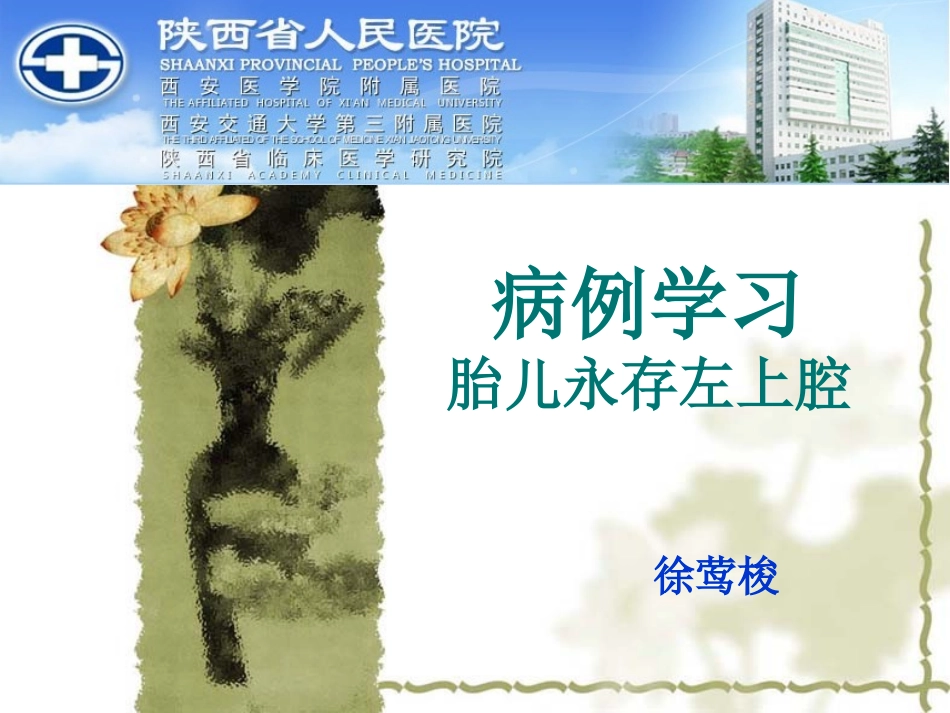 永存左上腔分析_第1页