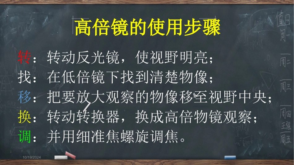用高倍镜观察叶绿体和线粒体_第2页