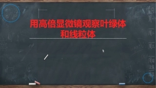 用高倍镜观察叶绿体和线粒体