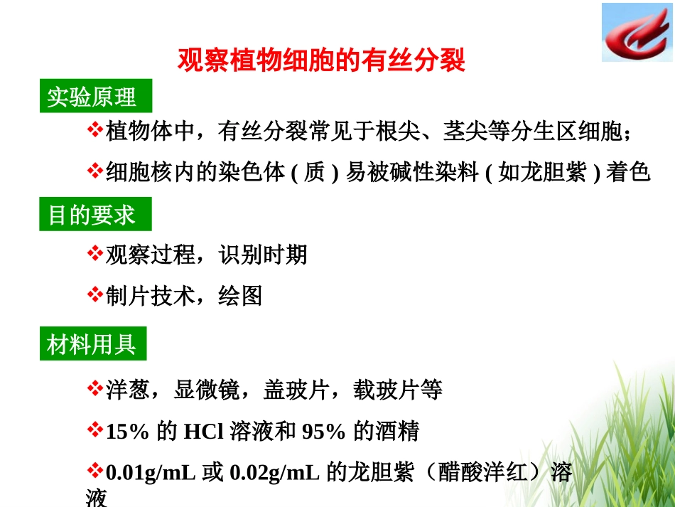 有丝分裂实验_第2页