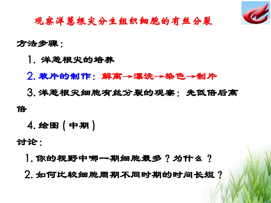 有丝分裂实验_第3页