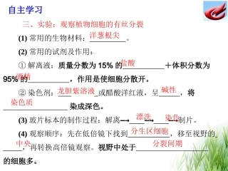 有丝分裂实验