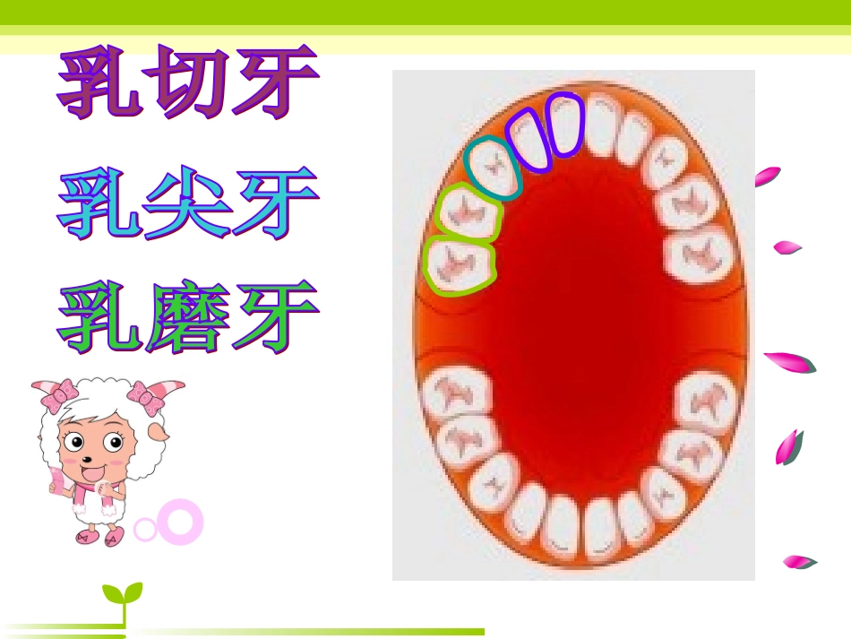 幼儿园健康知识讲座_第3页