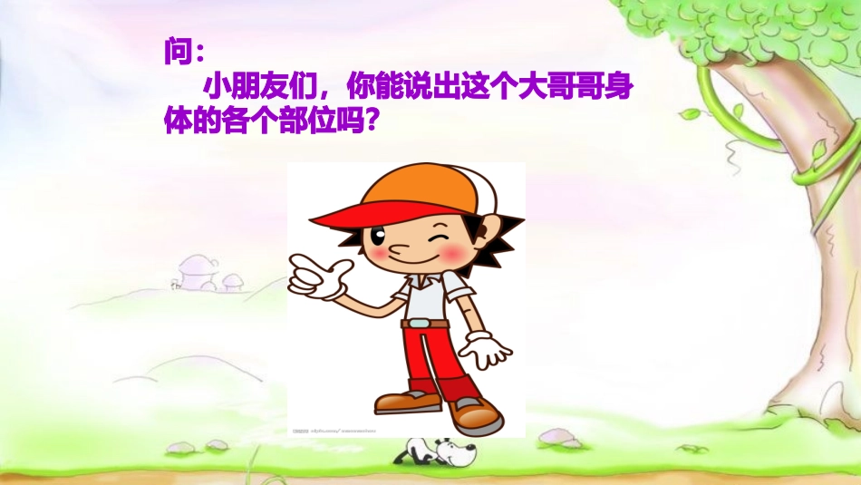 幼儿主题活动我的身体_第3页