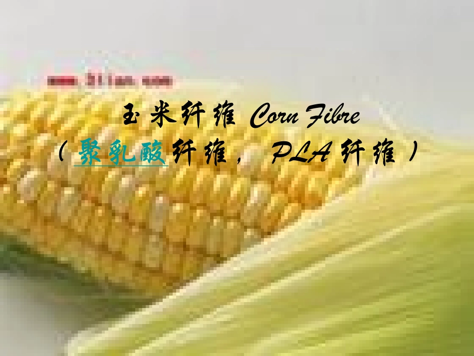 玉米纤维CornFibre_第1页