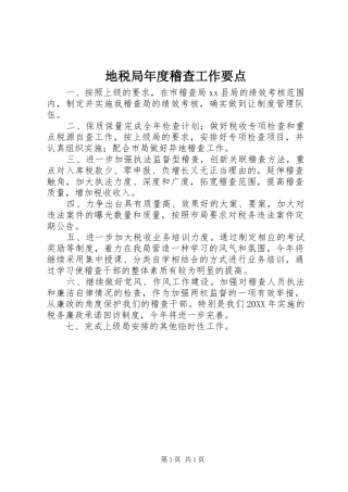 地税局年度稽查工作要点