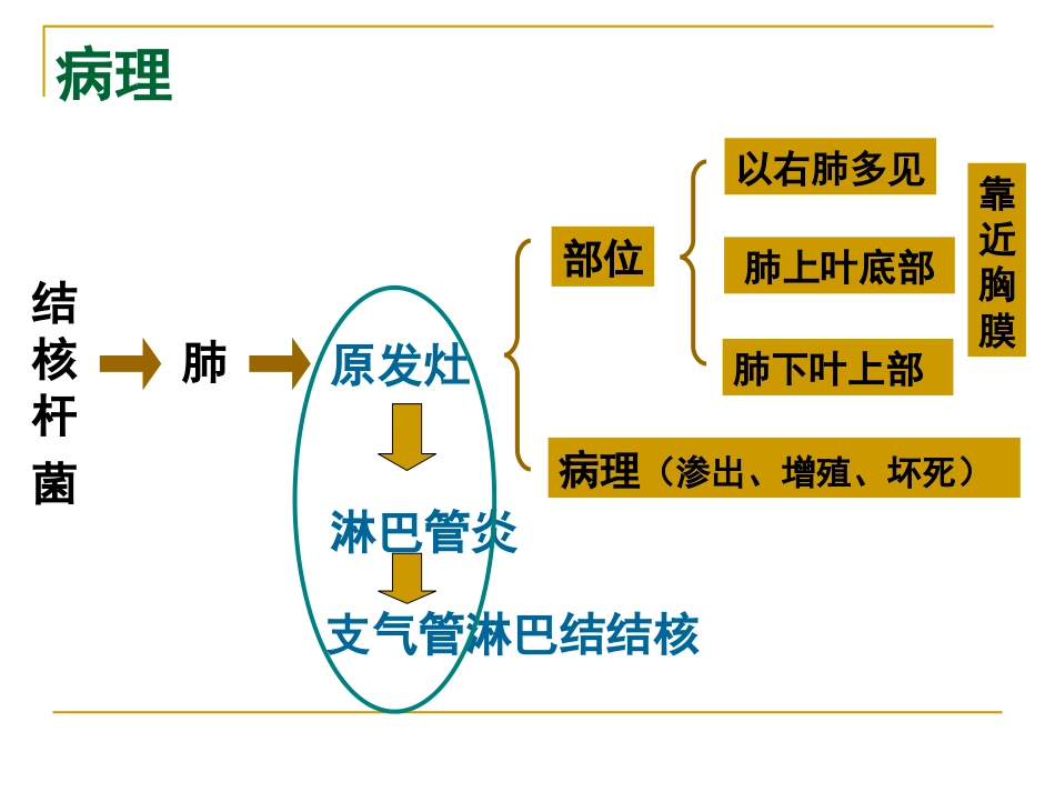 原发型肺结核_第3页