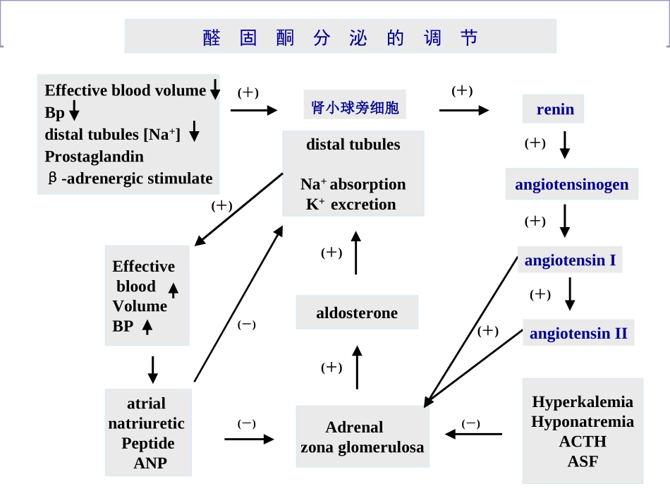 原发性醛固酮增多症课件_第2页