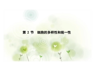 原核细胞与真核细胞