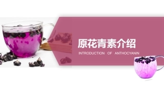 原花青素介绍