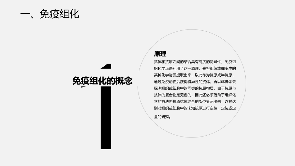 原位杂交与免疫组化_第3页
