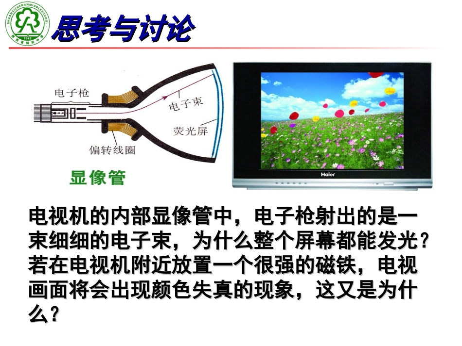 运动电荷在磁场的运动_第2页