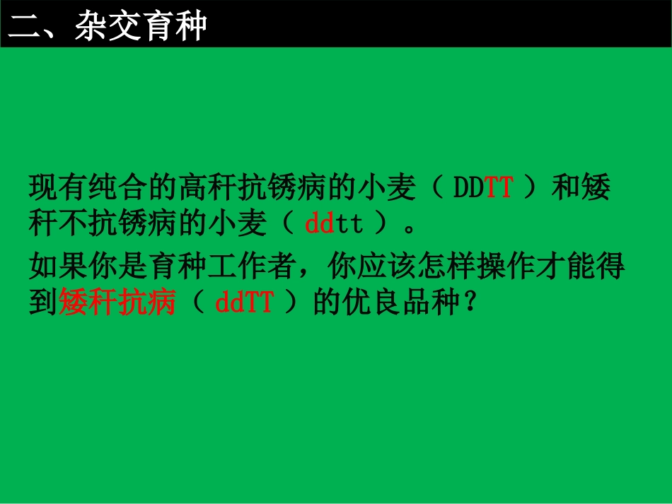 杂交育种与诱变育种课件精美_第3页