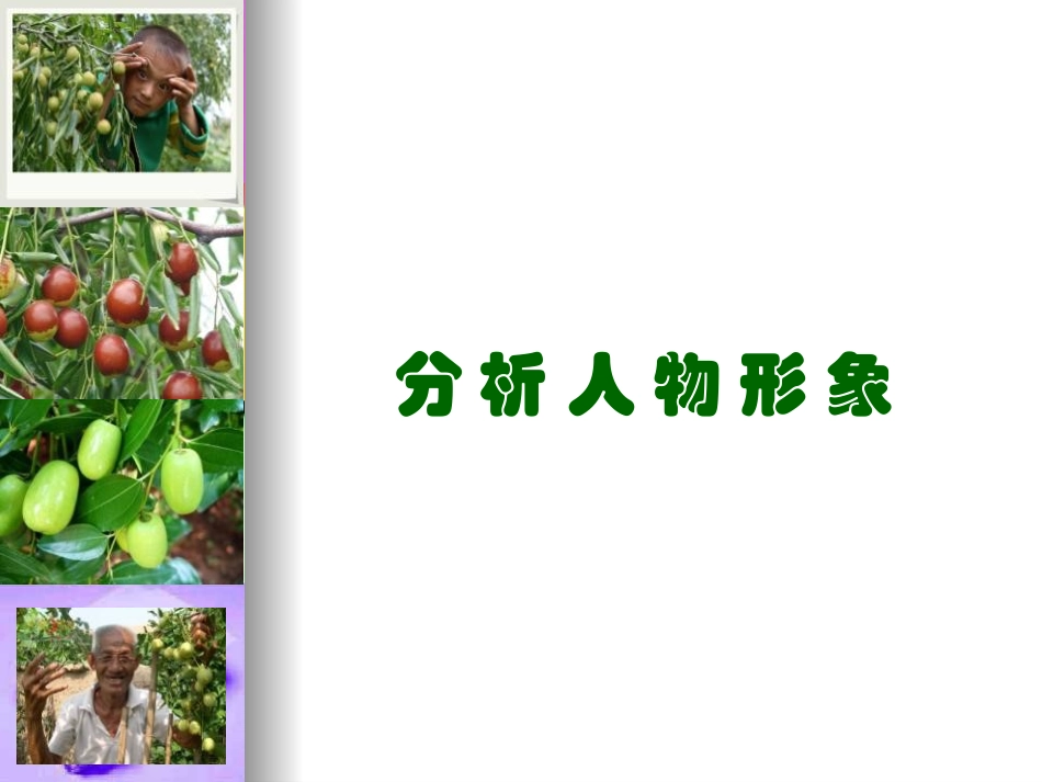 枣儿优秀课件_第3页