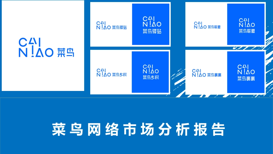 菜鸟调研报告_第1页
