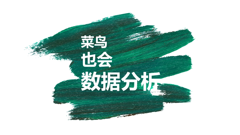 菜鸟也会数据分析_第1页