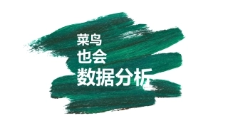 菜鸟也会数据分析