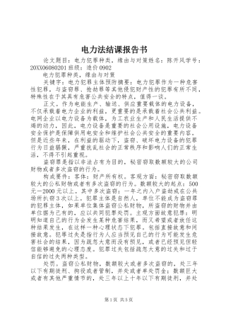 电力法结课报告书
