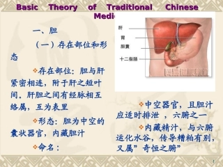 藏象学说六腑奇恒之腑