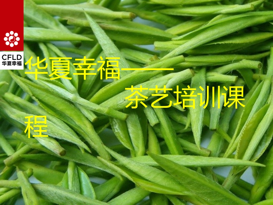 茶艺培训课件_第1页