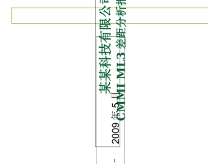 差距分析报告