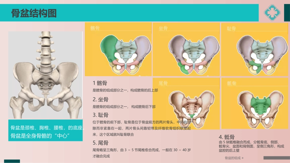 产后骨盆康复培训教学课件_第3页