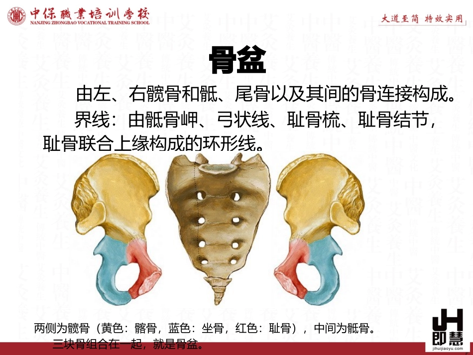 产后康复骨盆修复_第3页