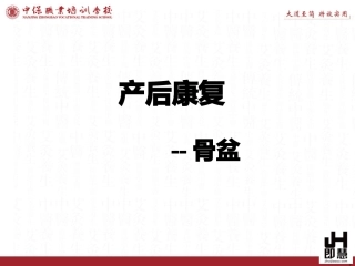 产后康复骨盆修复