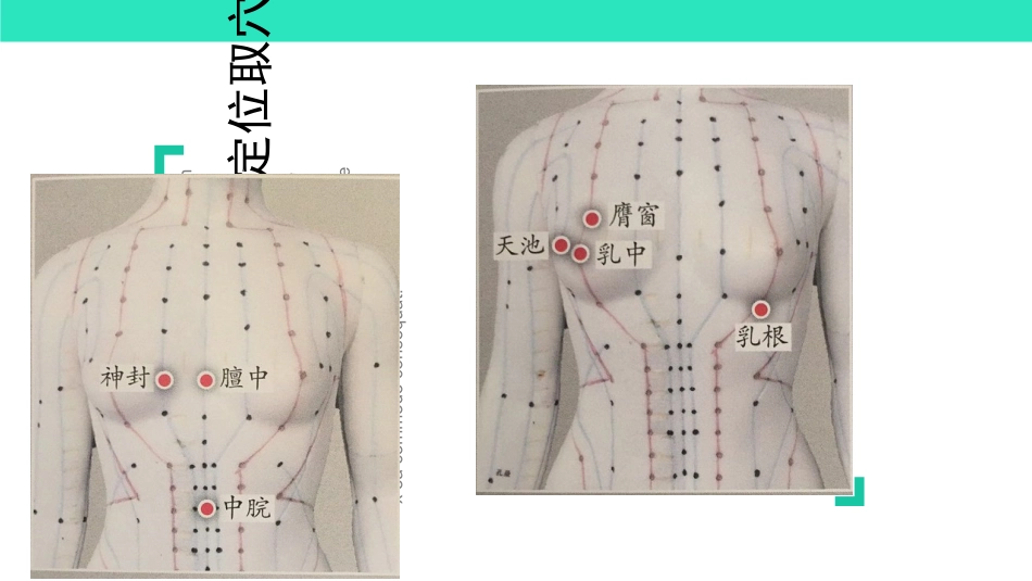 产后普通型缺乳催乳按摩手法优质课件_第3页