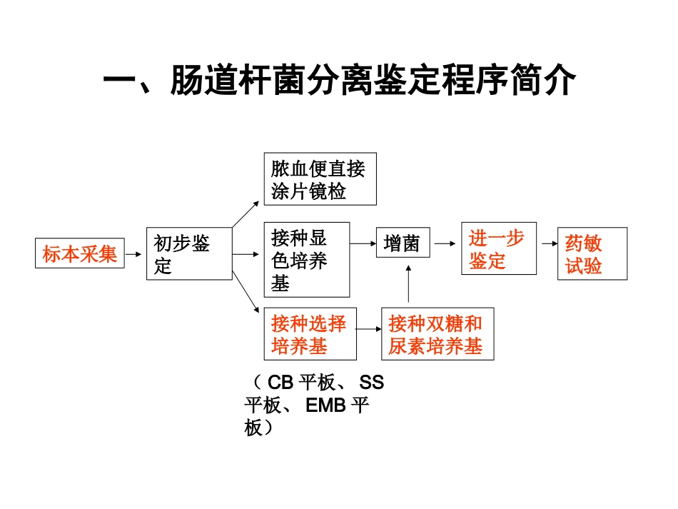 肠道杆菌的分离鉴定_第3页