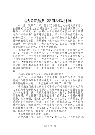 电力公司党委书记同志记功材料
