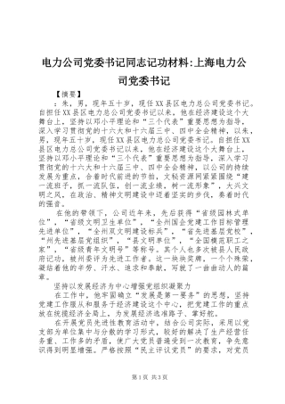 电力公司党委书记同志记功材料上海电力公司党委书记