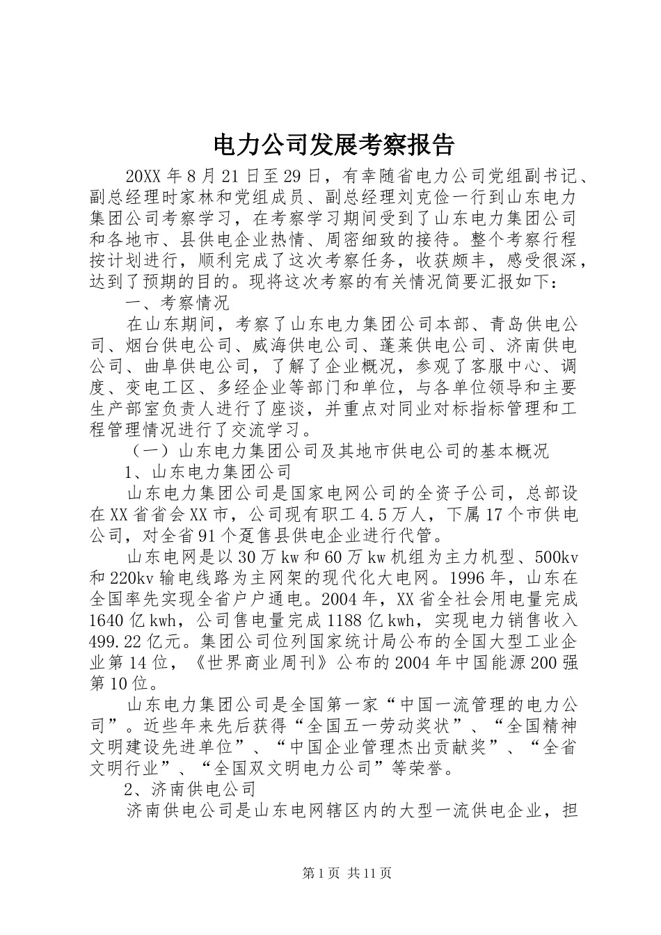 电力公司发展考察报告_第1页