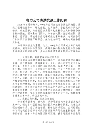 电力公司防洪抗汛工作纪实