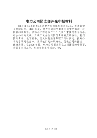 电力公司团支部评先申报材料