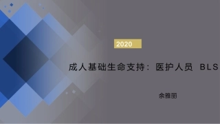 成人基础生命支持BLS