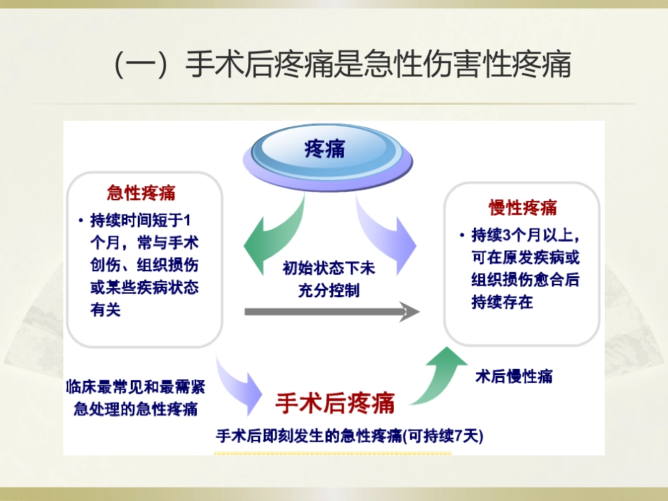 成人术后疼痛专家共识_第3页