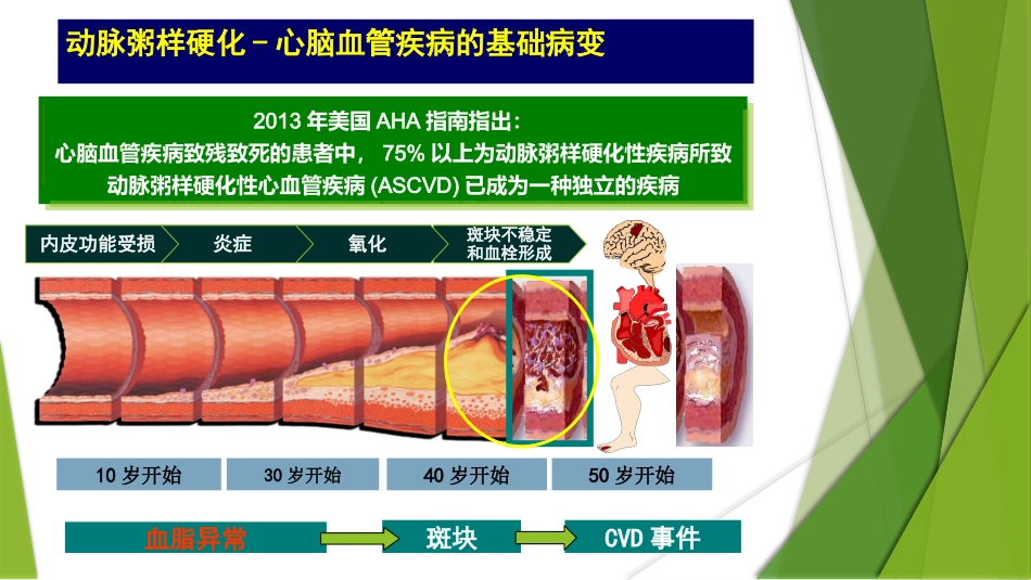 成人血脂异常_第3页