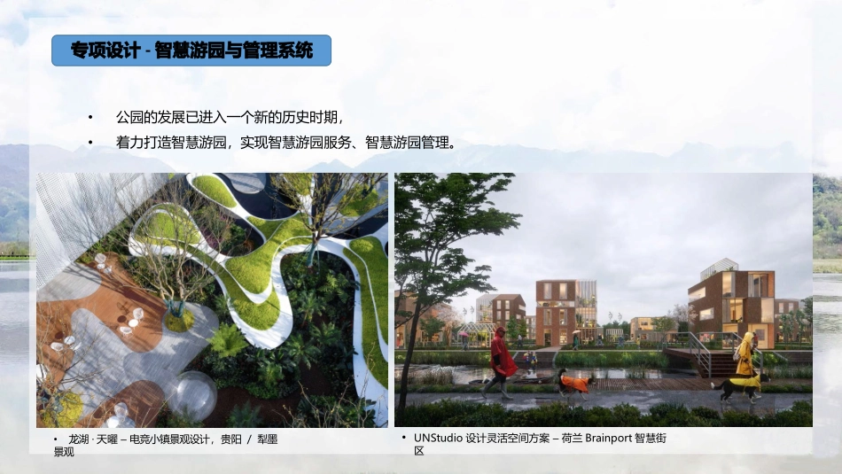 城市公园环境设计专项设计智慧游园与管理系统_第2页