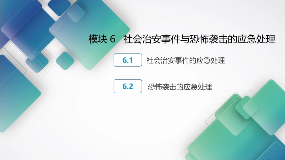 城市轨道交通应急处理社会治安事件与恐怖袭击的应急处理_第1页